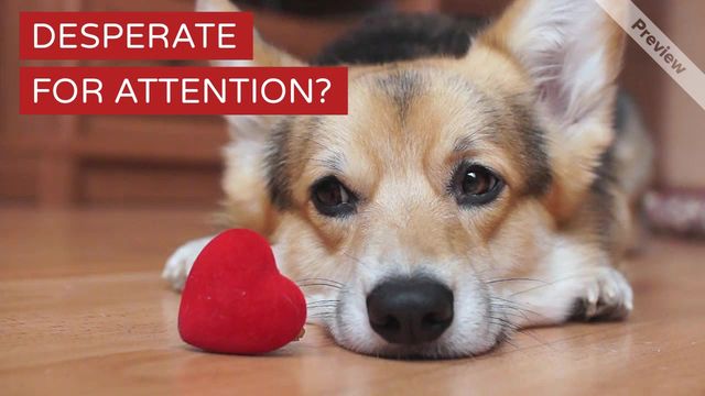 Better Way Video Template