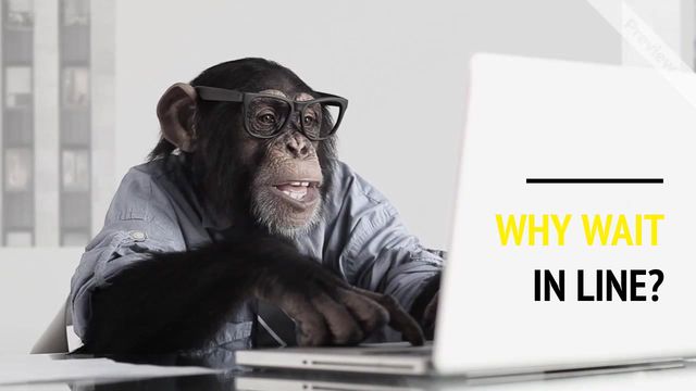Shopping Monkey Video Template