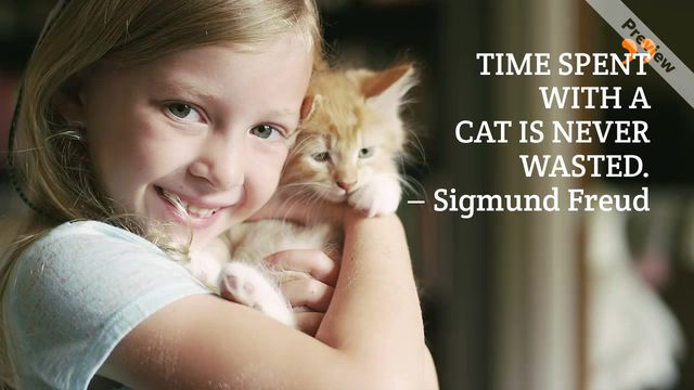 ADOPT A PET Video Template