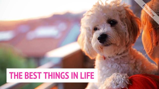 Best Thing Video Template