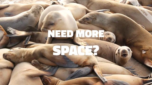 More Space Video Template