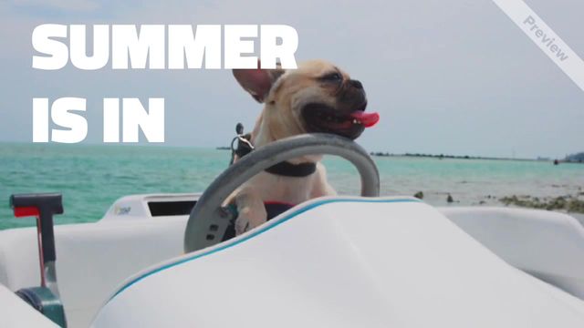 Summer Vacation Video Template