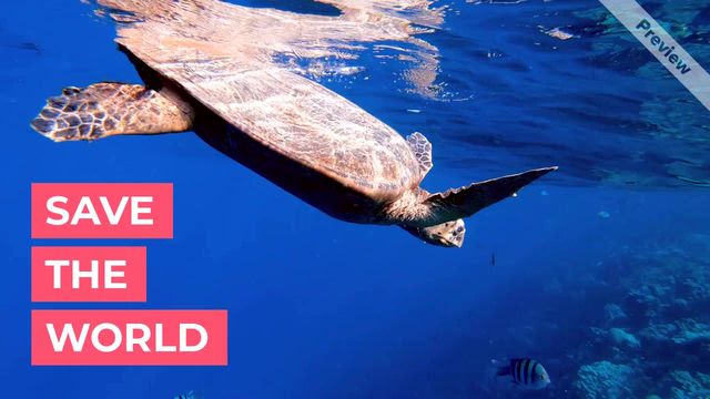 save the world  Video Template