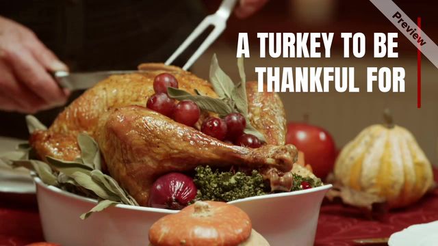 PERFECT TURKEY Video Template