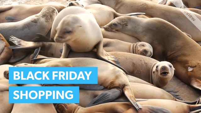 Cyber Monday - Calm Shopping Video Template