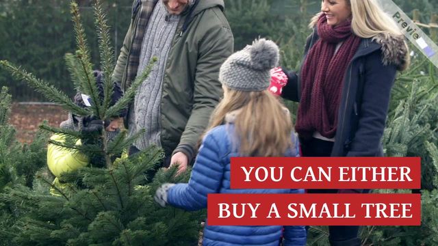 Christmas Tree Video Template