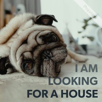 Backyard Video Template