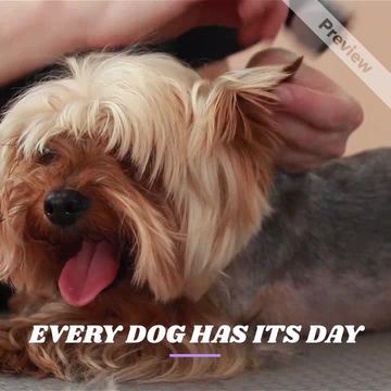 EVERY DOG Video Template