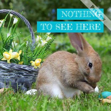 Hop Over Video Template