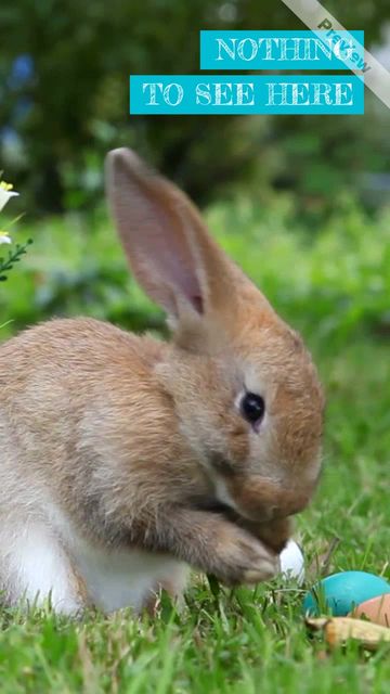 Hop Over Video Template