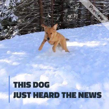 Heard the News Video Template