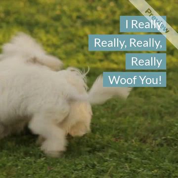 Woof You Video Template