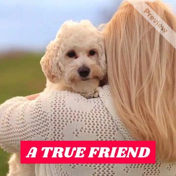TRUE FRIEND Video Template