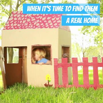 Real Home Video Template