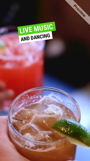 UNDER DOGS Video Template