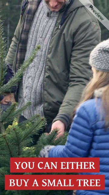 Christmas Tree Video Template