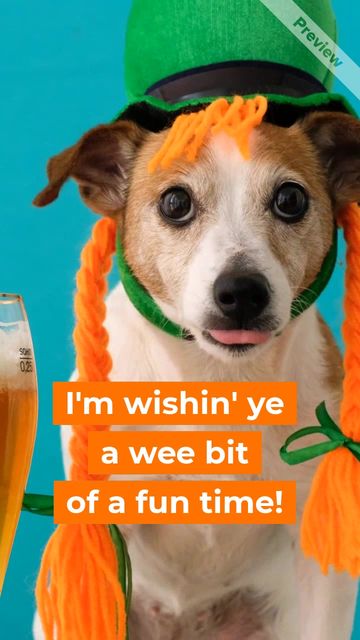 saint paddy's Video Template