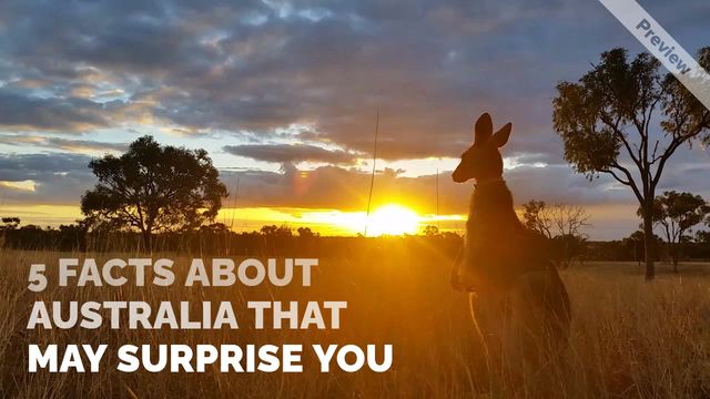 Australia Day Video Template