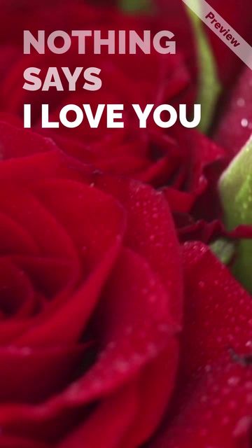 I Love You Video Template