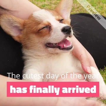 National Puppy Day Video Template