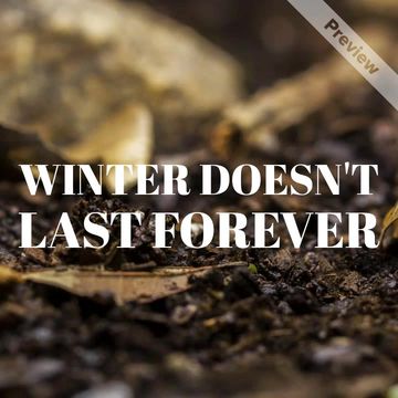 Winter Forever Video Template