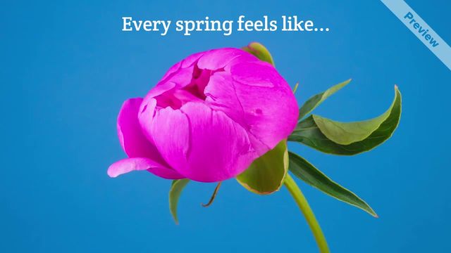 the only spring Video Template