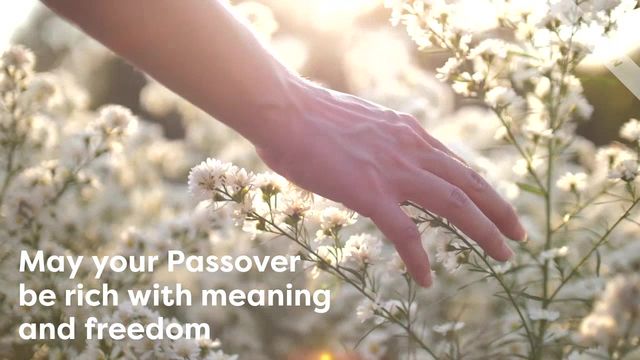 Passover Video Template