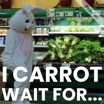 Carrot wait Video Template