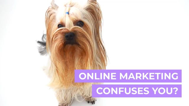 CONFUSED DOG Video Template