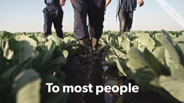 Farm Workers Day Video Template