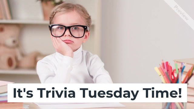 Trivia Tuesday Video Template