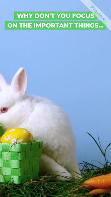 Easter Hunt Video Template