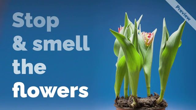 Sweet Blooms Video Template