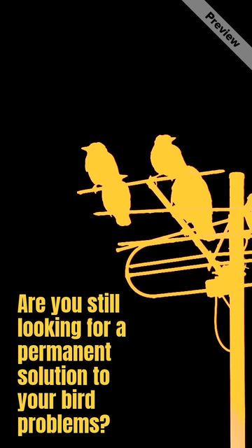 Bird control Video Template