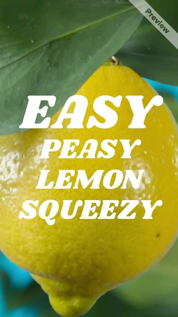 Fresh Juice Delivery Video Template