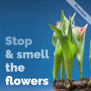 Sweet Blooms Video Template