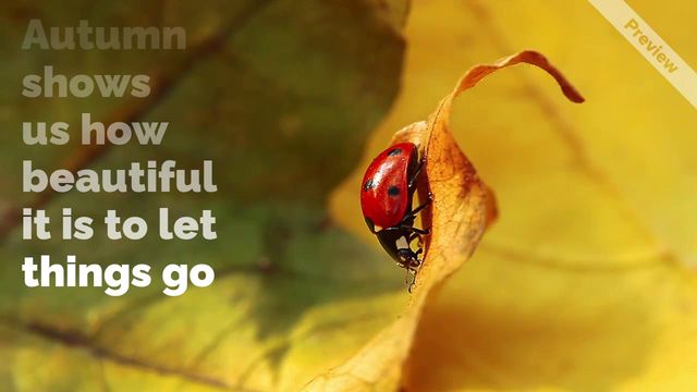 First Day of Fall Video Template