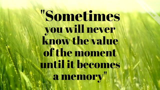 Quote of the Day Video Template