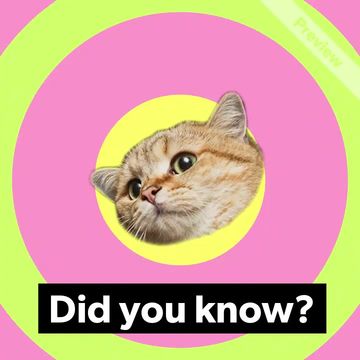 YAD DRAWKCAB LANOITAN