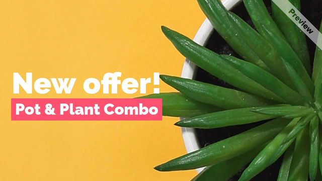 product video Video Template