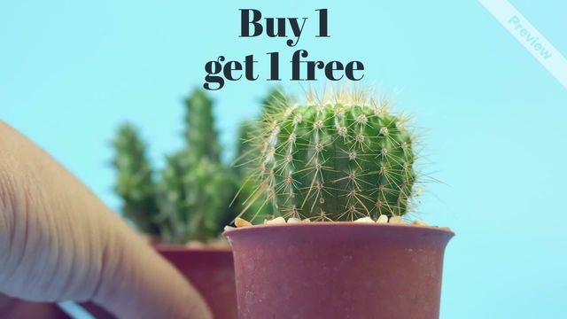 Sale Video Video Template