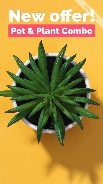 product video Video Template