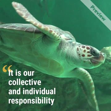 National Wildlife Day Video Template