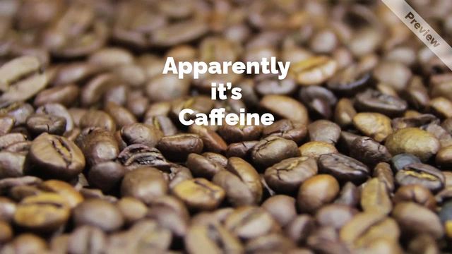 Caffeine Awareness Month Video Template