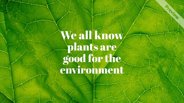 #PlantAFlowerDay Video Template