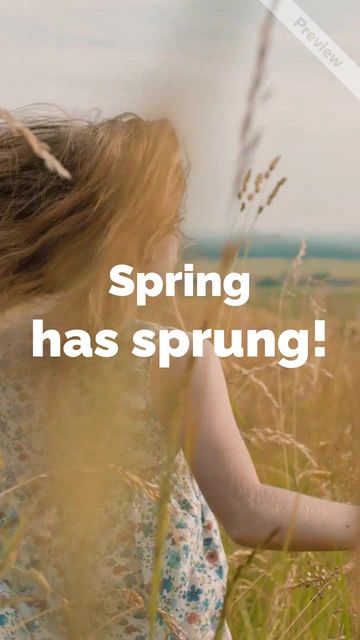 Spring Sale Video Template