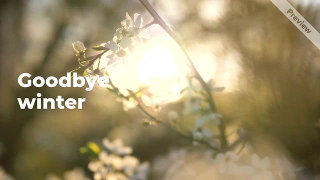 Hello Spring Video Template