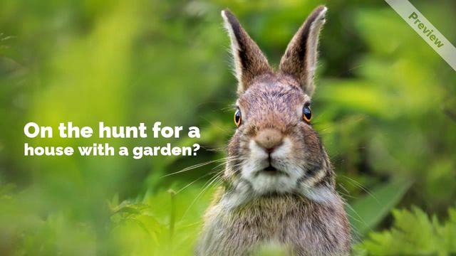 House hunt Video Template