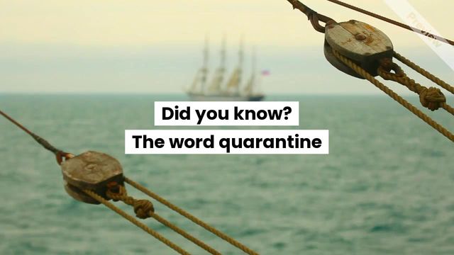 Quarantine Video Template