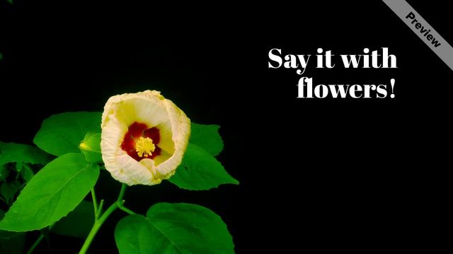 Flowers for Mom Video Template